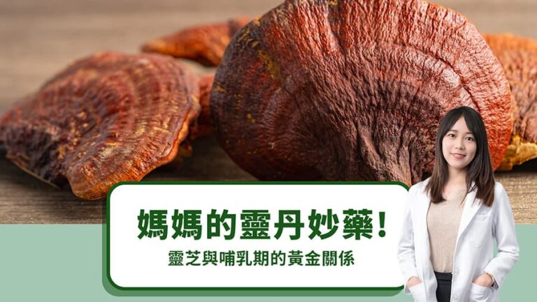 媽媽的靈丹妙藥！靈芝與哺乳期的黃金關係