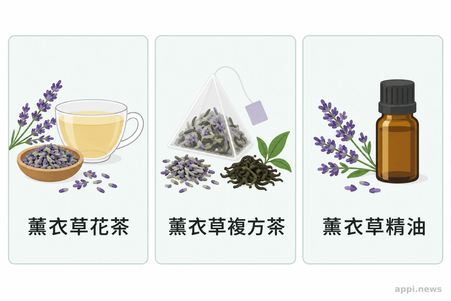 睡前飲品要先看實際配方,精油是濃縮產品,不能當成花草茶飲用。 乾燥薰衣草花材、含其他原料的複方茶包與分開放置的精油瓶並列呈現