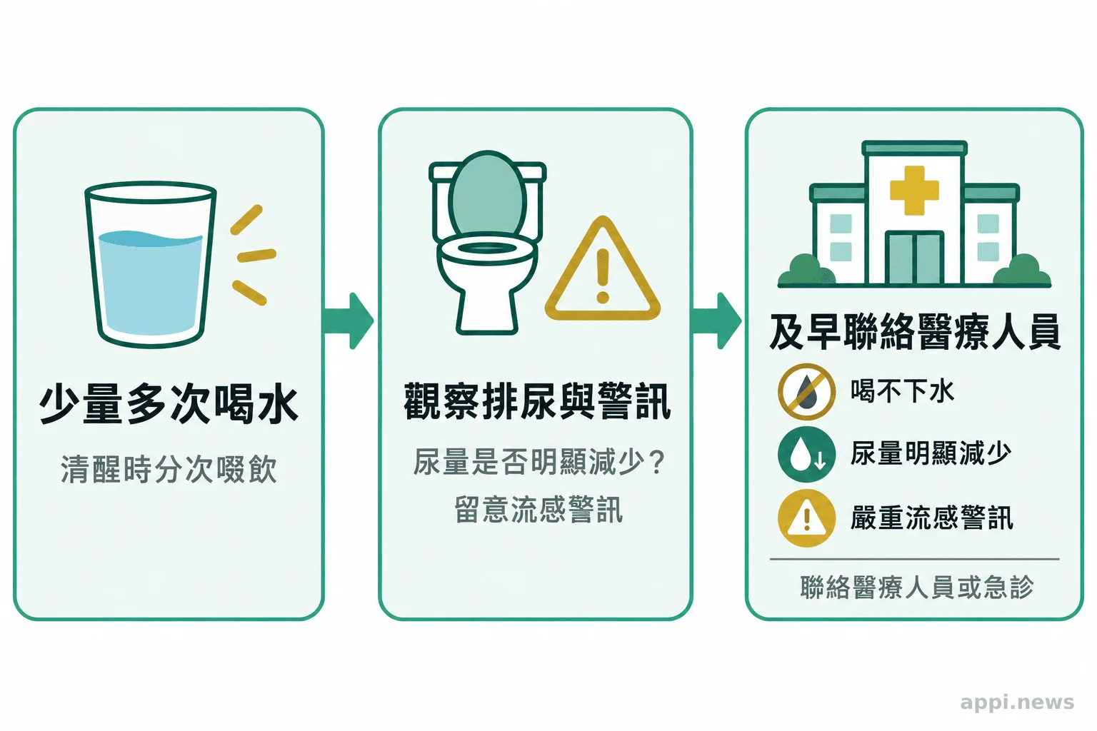 由少量多次喝水、觀察排尿與警訊，到需要時聯絡醫療人員的流程圖。