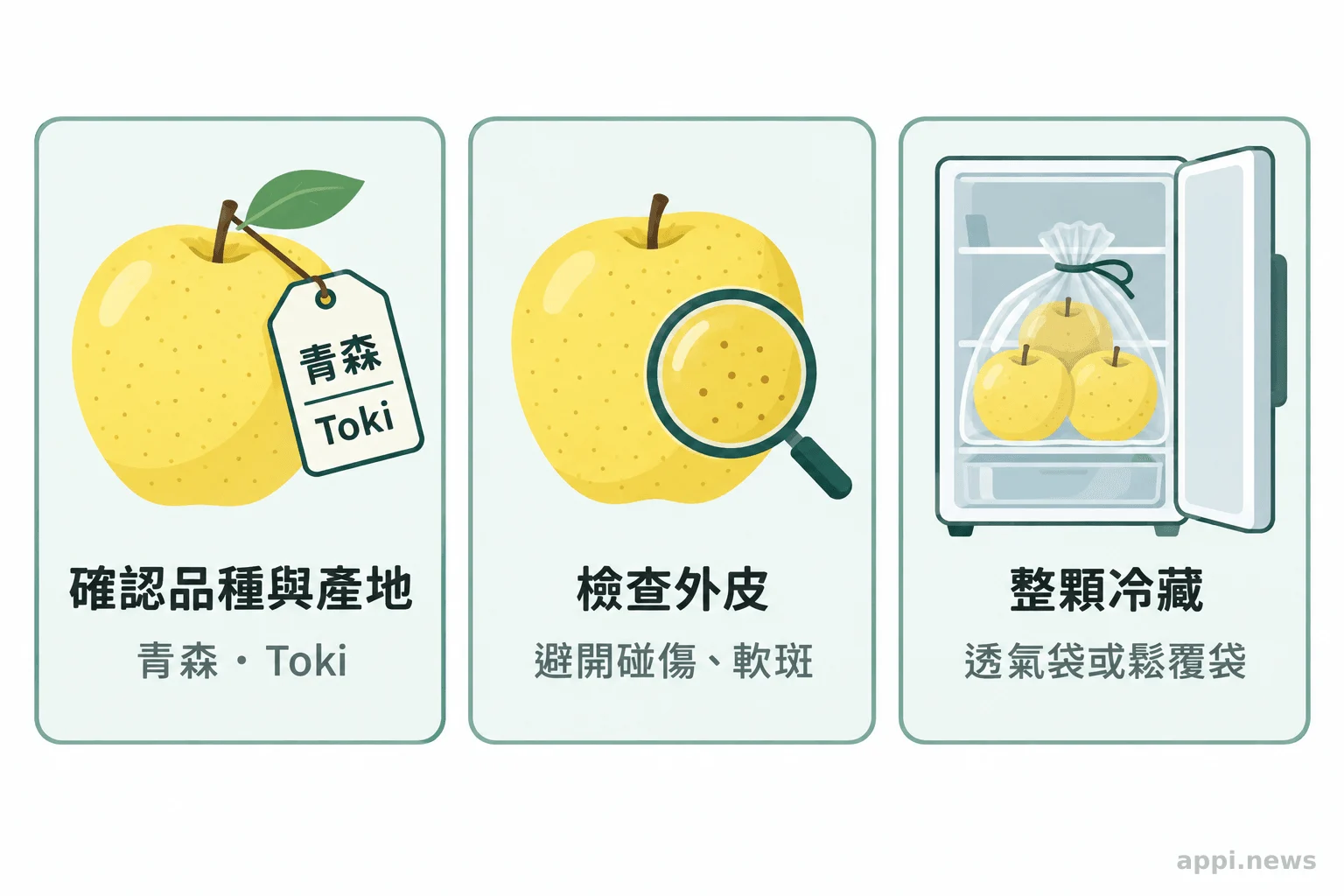Toki 蘋果選購與冷藏保存的三個實用步驟