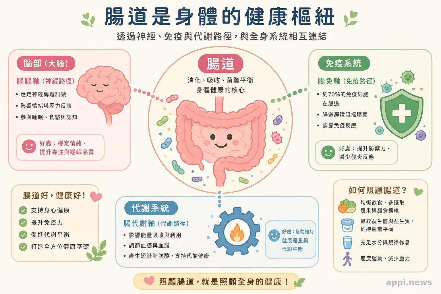 示意圖:腸道透過神經、免疫與代謝路徑與全身其他系統相互連結