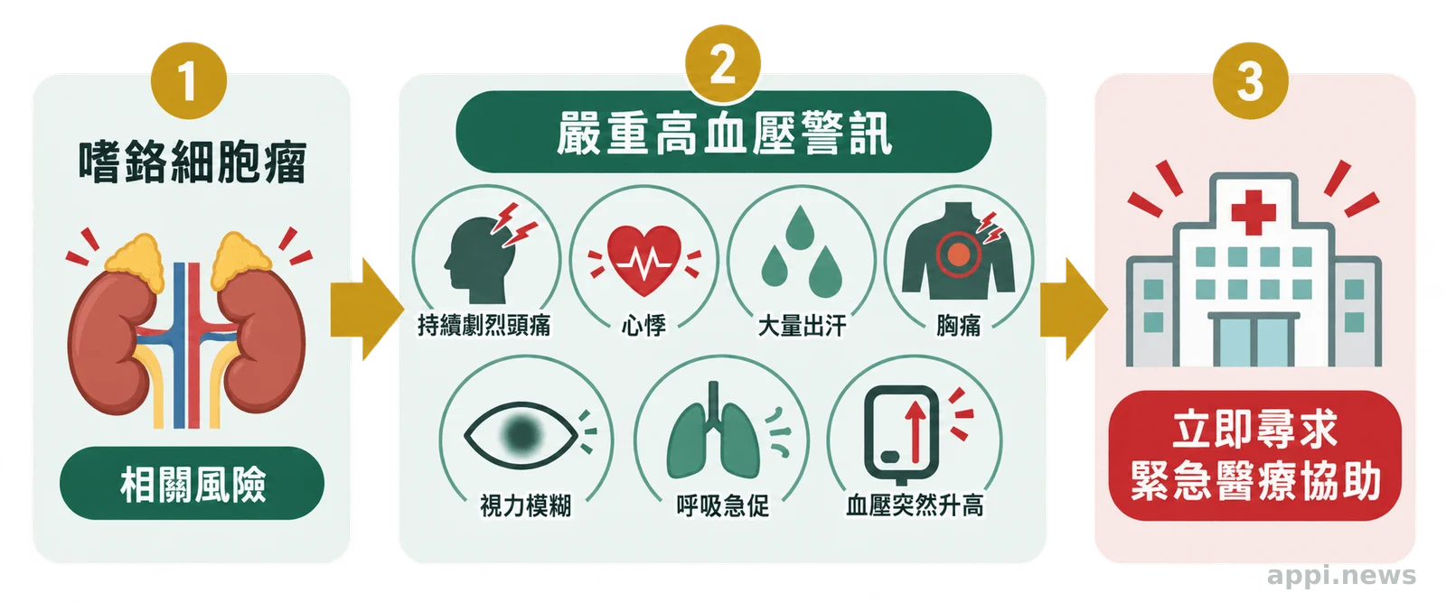 從嗜鉻細胞瘤相關風險連向嚴重高血壓警訊，再指向立即尋求緊急醫療協助的流程圖
